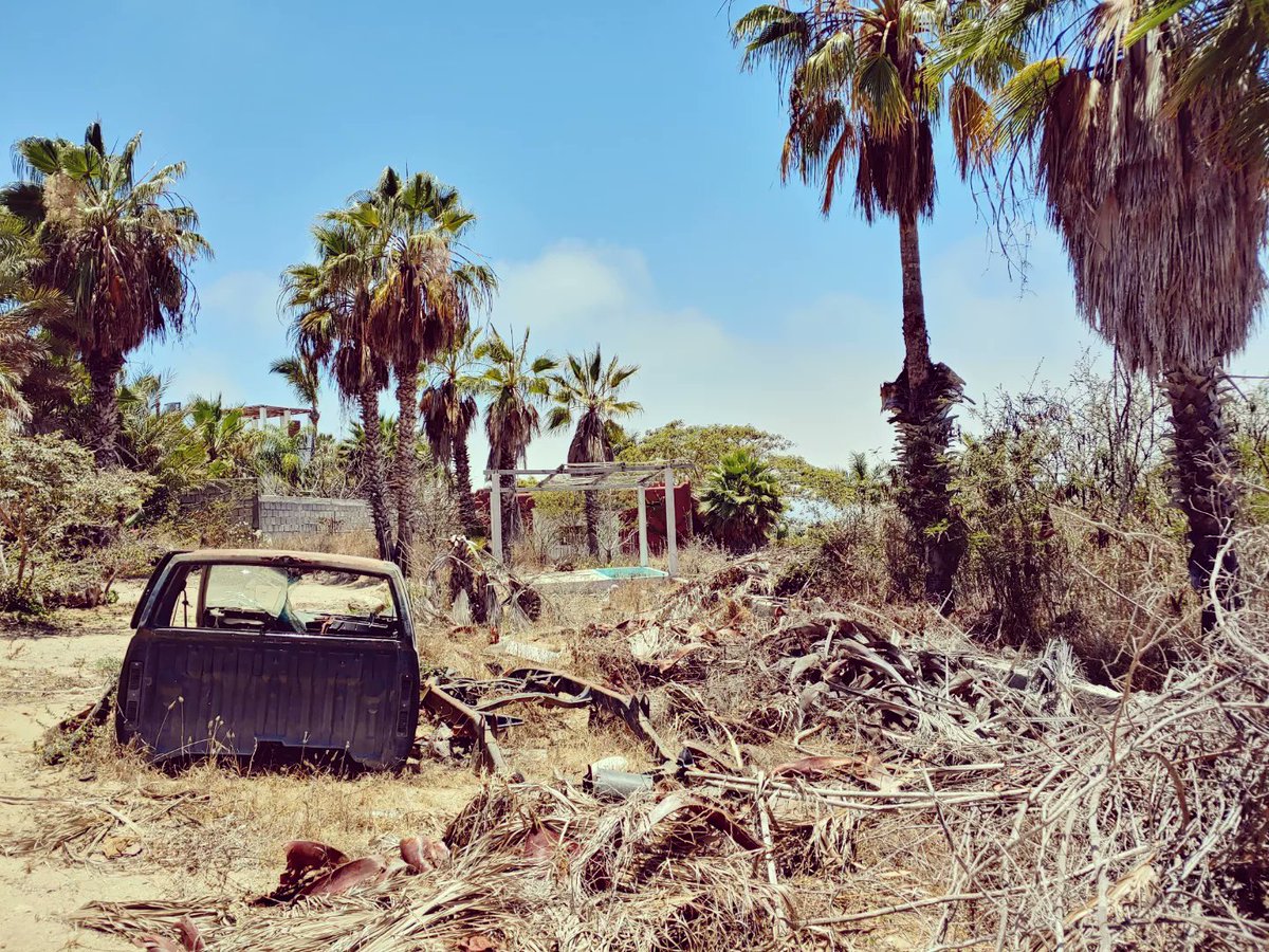 This hot mess of a property wasn't completely abandoned.

#herethisisyou #abandoned #urbex #TodosSantos #mexico