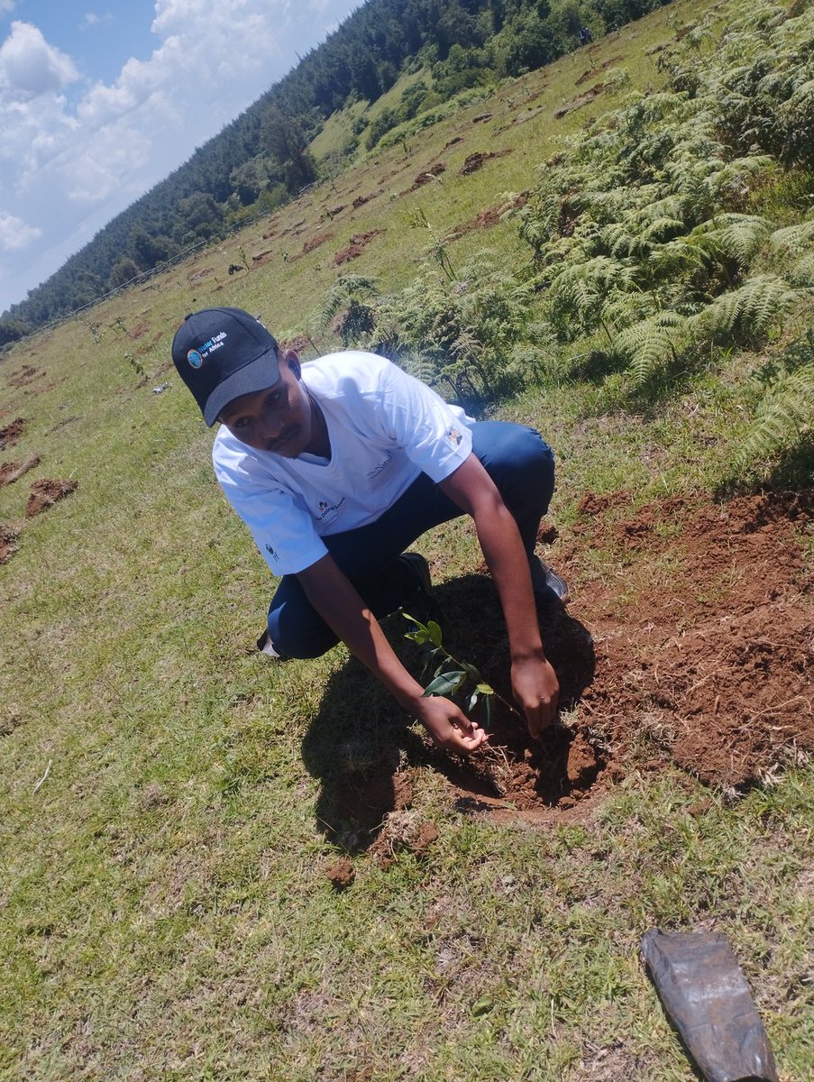 elshomkirui12's tweet photo. Plant one today get a million atmosphere free and auestic environment https://t.co/lTGR1uIo7o
