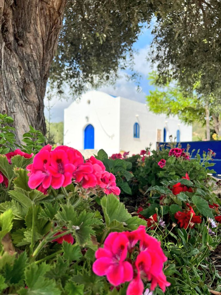 A little bit of Paphos for your TL. 
Enjoy the weekend... 
#Cyprus