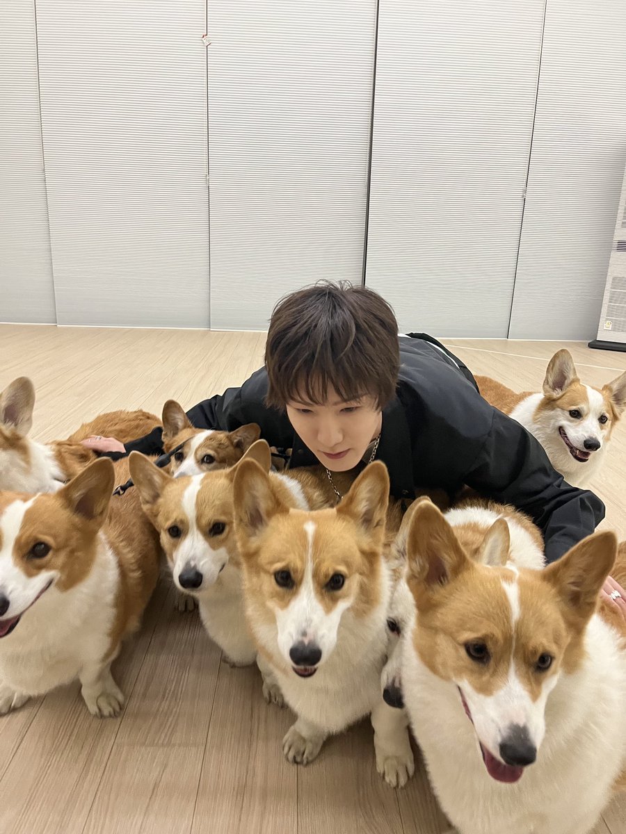 P1H_members's tweet photo. 8코기 너무 귀여웠어요( U - ·̫ - )ﾉ

#P1Harmony #SOUL https://t.co/ozjrcvVYKh