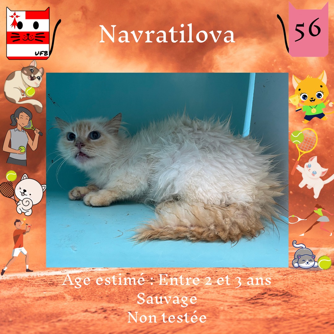 justineducern's tweet photo. Je suis en Fourrière dans le dépt 56
JE SUIS A ADOPTER
afin de me sauver et de me faire sortir de cette fourrière avant le 16/06/ 2023 
Mais il faut venir me chercher dans le Morbihan Contact: Urgences Fourrières de Bretagne page Fbk    ou site  https://t.co/YNLxuvpFSj https://t.co/lYL9eHuH5h