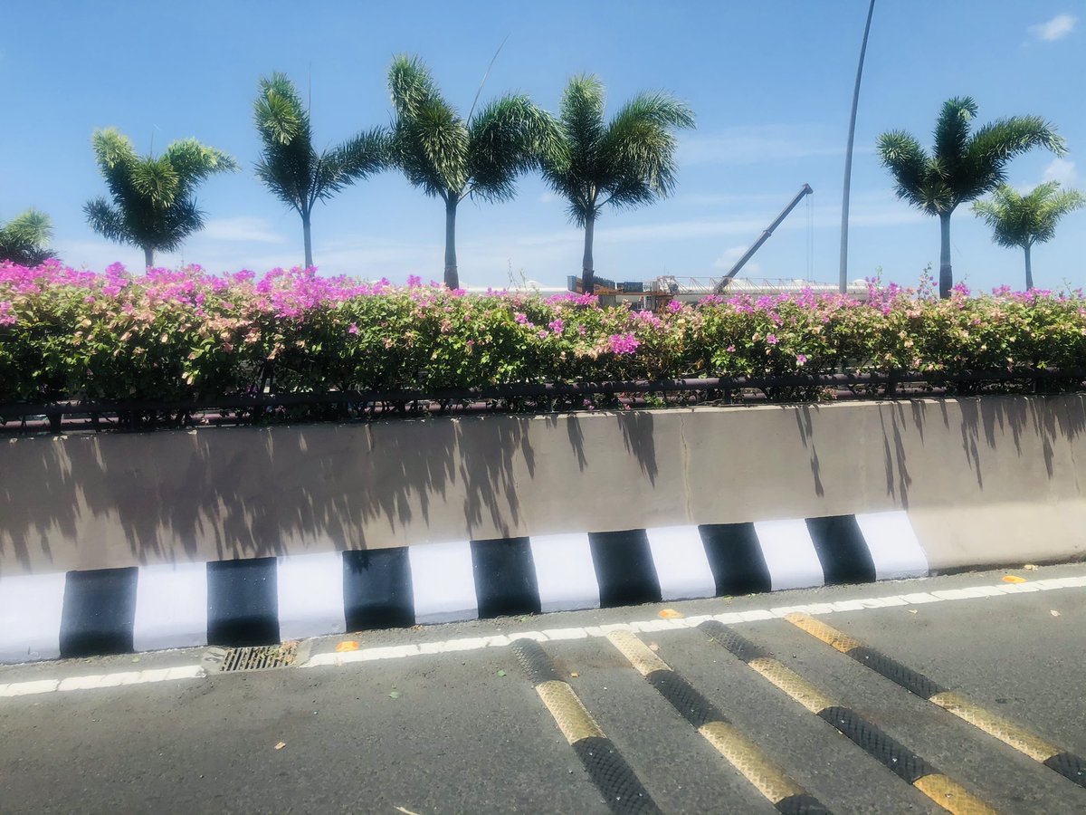 archanasharmagv's tweet photo. Day 6: Rest day in #amchi #Mumbai
Looking forward to the conference on #women in #science and #Engineering #WISE tomorrow at #BARC #India https://t.co/dxR7ri0oQW