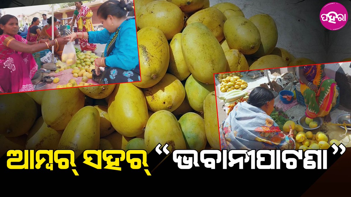 Paharaa24x7's tweet photo. କଳାହାଣ୍ଡିନେ ଧୁମ୍ ମିଲୁଛେ ଆମ୍ବ୍... କେନ୍ତା କେନ୍ତା କିସମର୍ ଆମ୍ବ୍ ମିଲୁଛେ ଜାନିଛନ୍?

https://t.co/HYPNnMyIlA
#Kalahandi #Odisha #News #SambalpuriNEws #KalahandiNews #MangoBusiness https://t.co/SGRsBJrcHG
