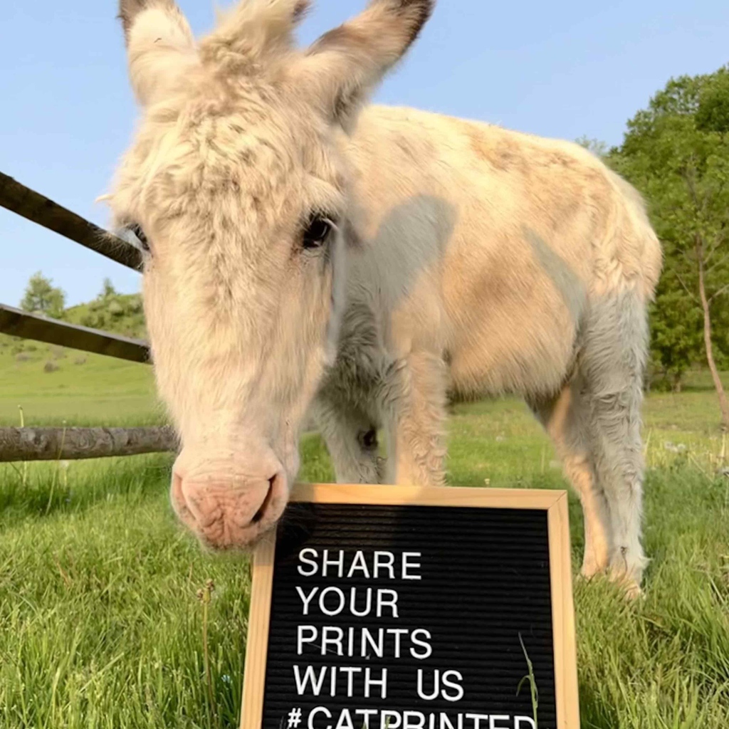Our friends from Freedom Farmhouse want you to share your prints with us! 🥰 In loving memory of Petey. 🌈

#catprinted #shareyourprints #stationery #makersgonnamake #dailydoseofpaper #farmrescue #adoptdontshop #donkeylove