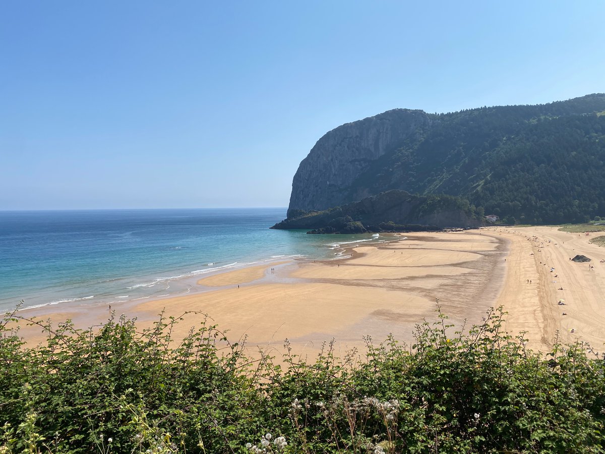 Robert Penn tweet media