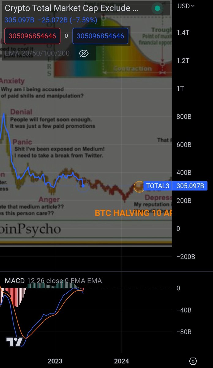 @ChocoBTC Wallstreet cheatsheet bubble is working pretty well for TOTAL3. Seems were are going for Depression