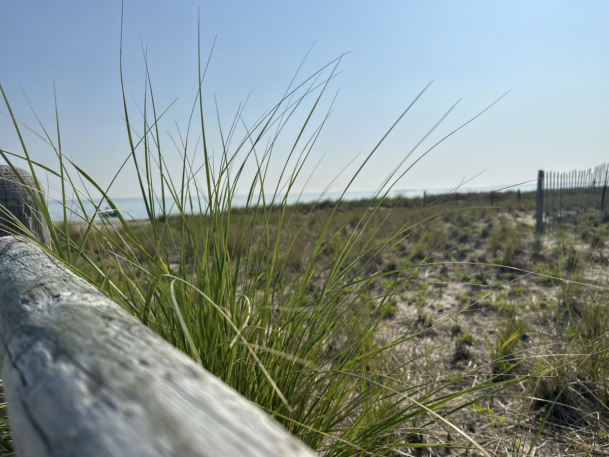 EcoHermitage's tweet photo. #60minutebeachcleanup #keepitbeachycleanvb #beaviking @HESVBVikings @vbschools @BeachyCleanVB Lazt beach cleanup of the 22/23 school year. Weβll be back in September!π https://t.co/nNtc11k2ch