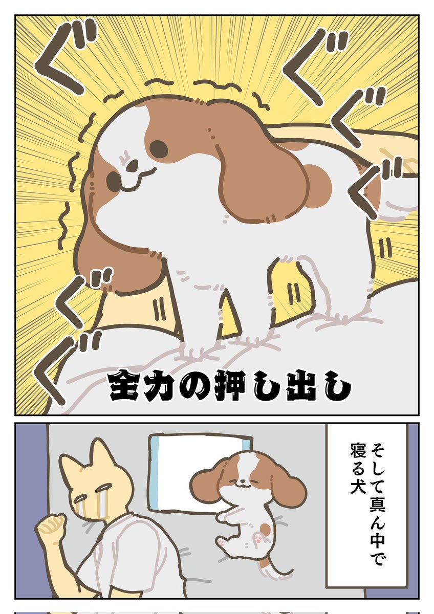 犬日記 犬なら腕の中で寝てるぜ