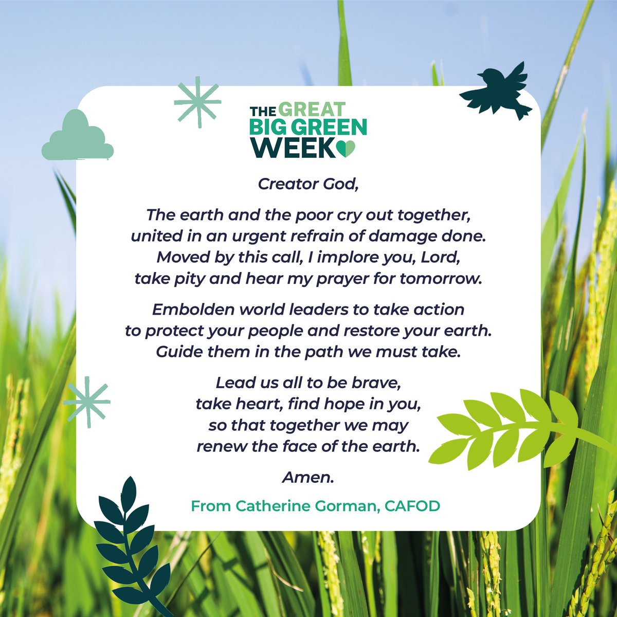 CAFOD On Twitter The GreatBigGreenWeek Starts Today It s The UK s cafod-on-twitter-the-greatbiggreenweek-starts-today-it-s-the-uk-s