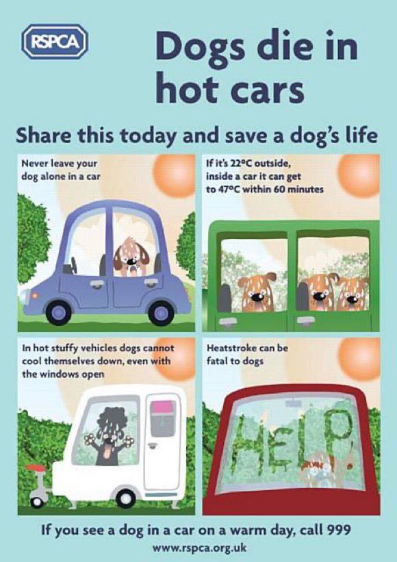 GHS015's tweet photo. Leave them at home in the cool. If I see a dog shut in a car in the heat I won’t be waiting for the police to gain access. I will wait to explain my actions to them though after the dog is safe.
No dog has every died from not going for a walk or a ride in your car. https://t.co/CuhR9LnKH9