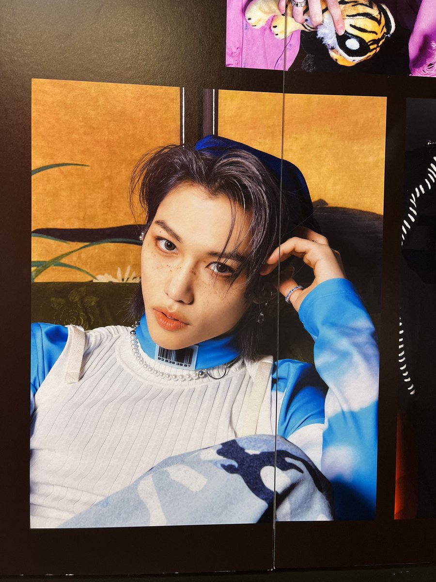 stay_t09's tweet photo. 渋谷のタワレコで会ってきた🫶🏻
#StrayKids #StrayKids5STAR #5_Stars https://t.co/kQ62gJ5TsI