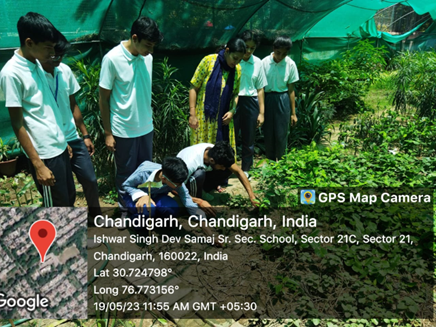nssisdevsamaj21's tweet photo. The NSS unit of https://t.co/Rxb3NZlMOA Samaj Sr. Sec. School Sector 21 C, Chandigarh organized a plantation drive in the school campus on 19 May 2023. The main aim of this drive was to promote the importance of planting trees. https://t.co/JblYRl4BOm