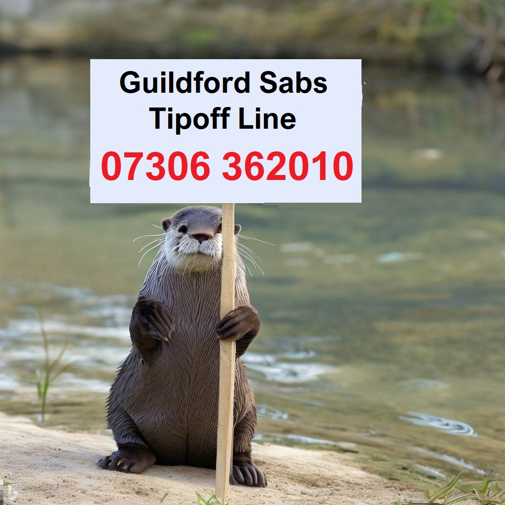 Guildford Hunt Saboteurs tweet media