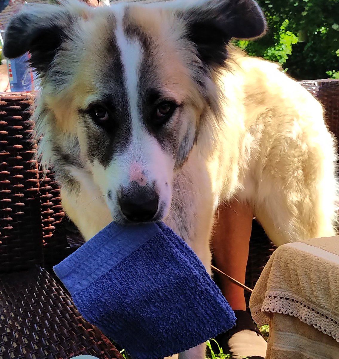 Ist das Badezimmer endlich frei?
#twitterrudel