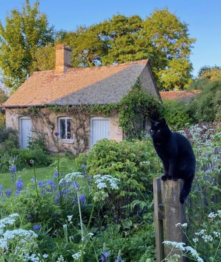 Доброго дня, дівчата і хлопці! 🫂💛🌾
Зараз з Донечкою прошли по Хутору, дабы справиться о самочувствии захворавшего хлопца! У Доченьки такое же доброе сердце, как у её Матушки покойной.
Доброта — то, без чего сложно жить!