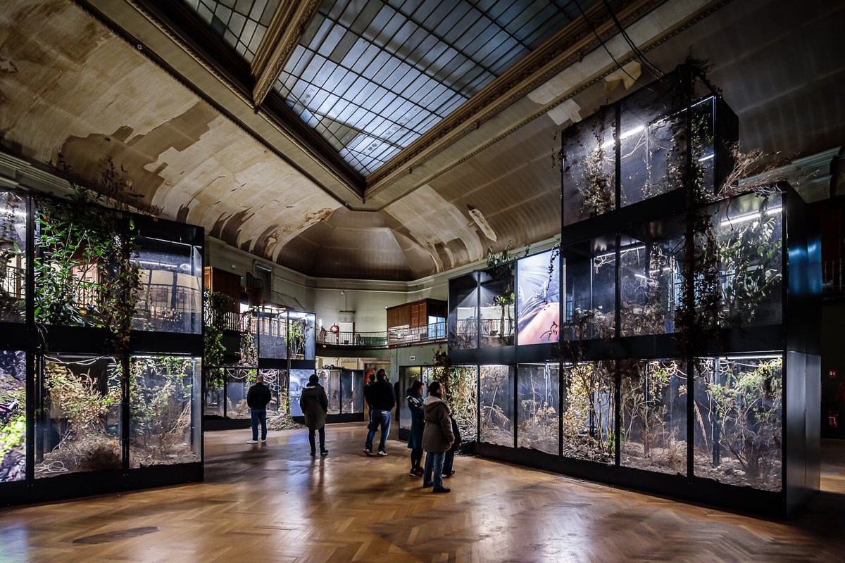 Brice ROBERT photographe tweet media