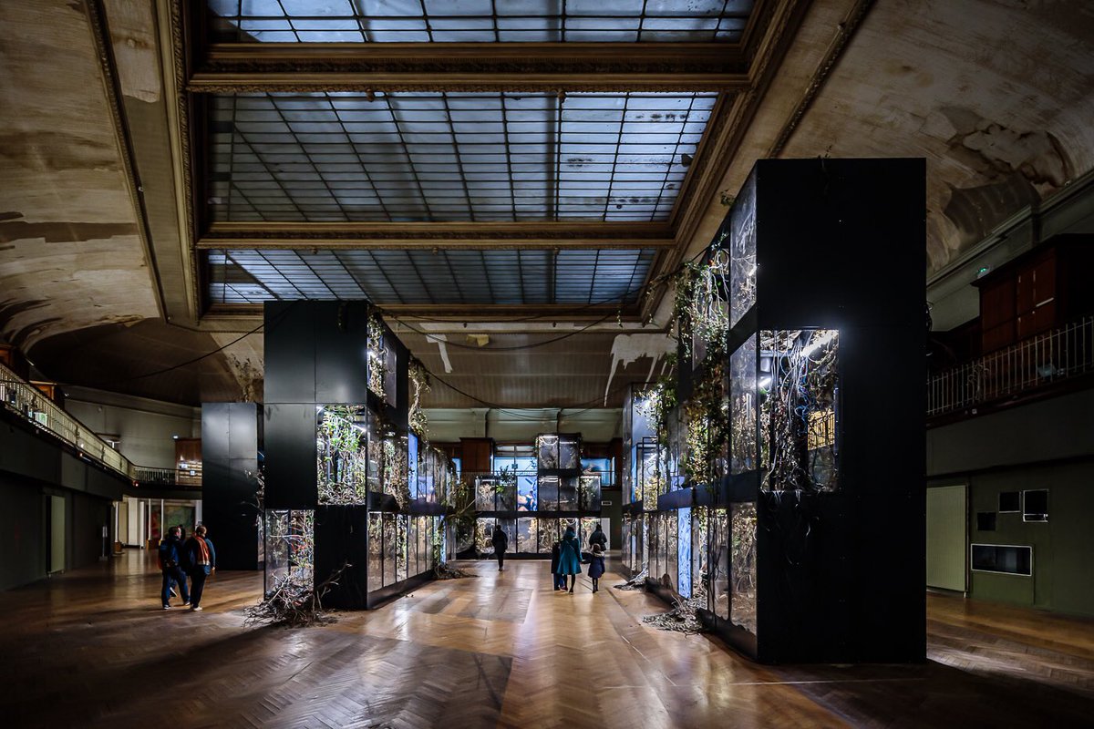 Brice ROBERT photographe tweet media