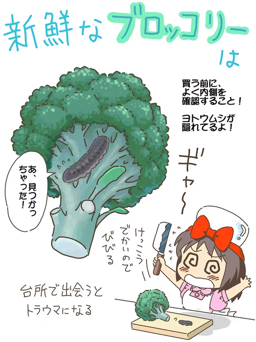 売れのこったブラウン管のおはなし。(784)

新鮮なブロッコリーは

一度、遭遇しました。 