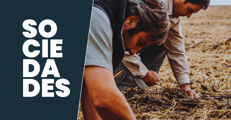 maniseros's tweet photo. ¿Maní? Opciones con rol de productor mediante nuestras ofertas de Cultivo como Servicio y, alquiler para el caso contrario.

🌱 Crop as a Service https://t.co/5ai7VEqLzg
Programas.
Llave en Mano.
Sociedades.
Free form.

🌎 Alquileres @prodemanok

Toda la info aquí