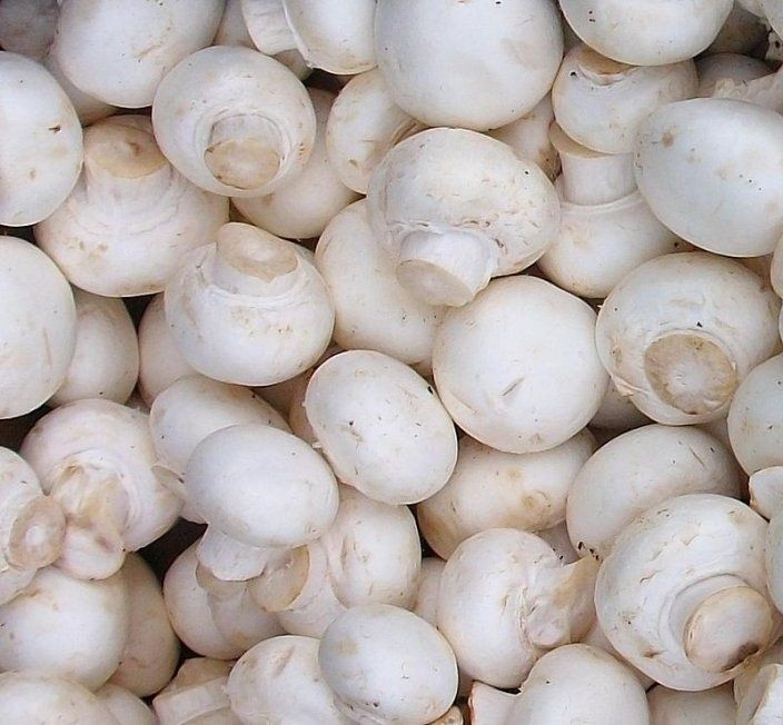 deliciousmushr2's tweet photo. Market for mushrooms in Kenya. Here are some buyers

1. Mushroom blue Kenya 
2. Richman International 
3. Mushroom guru kenya
4. Jolin farm
5. Elima mushroom 
6. Wega mushrooms
7. DimJim mushrooms
8. Syneta mushroom ent.

All have their contacts and profiles available online. https://t.co/KuUXbz2dae