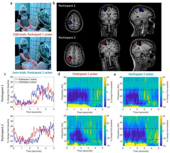 OPM-MEG hyperscanning!! Wonderful to see this published in @Sensors_MDPI by the amazing @niall_holmes !!! @SPMIC_UoN @UoN_Physics @CercaMagnetics mdpi.com/1424-8220/23/1…