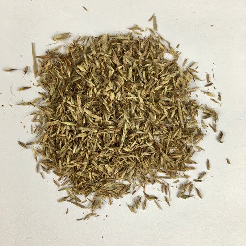 plantohobby's tweet photo. Buy Lemon Grass Herb Seeds Pack
https://t.co/jZDmR6I4r3

🎁 SPECIAL OFFER: Up to 90% off  
👉 Check Now: https://t.co/KQFTClBzHU
📦 Dispatch in 1 - 2 Days
#beejwala #LemonGrass #HerbSeeds #garden #gardening https://t.co/8r7Ntd5sEe