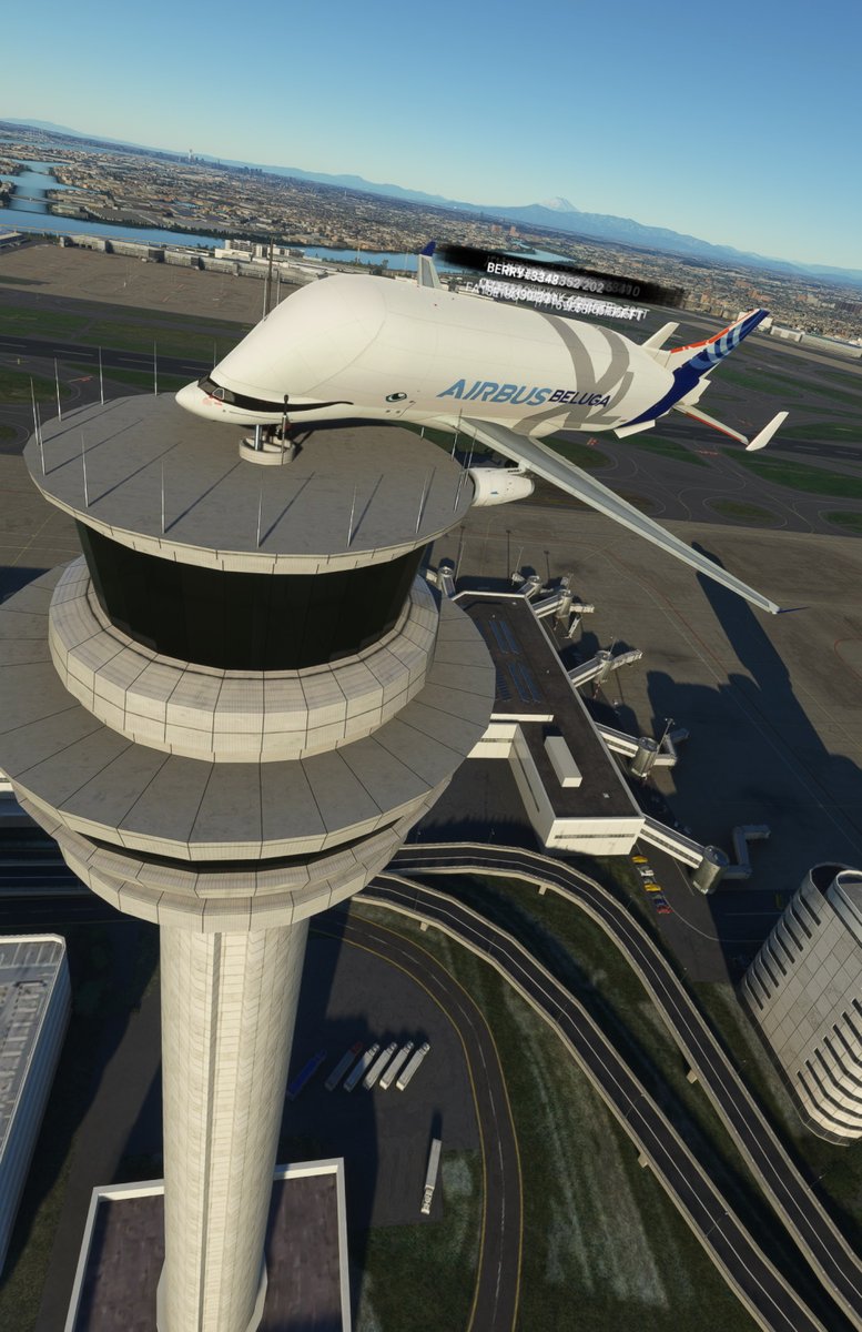 AvionChibi's tweet image. 🇯🇵働くベルーガちゃん😍#BelugaModPlease for #msfs2020 💕🐬#iniBuilds🙏 #PMDG 🙏 #BelugaXL #MSFS測量部 #RJTT