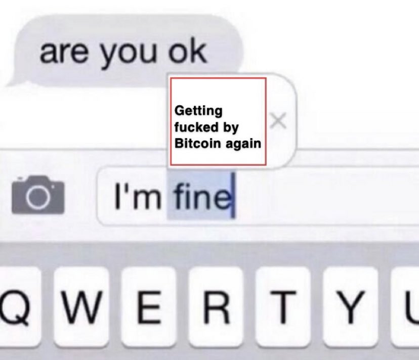 Sir Doge of the Coin ⚔️ tweet media