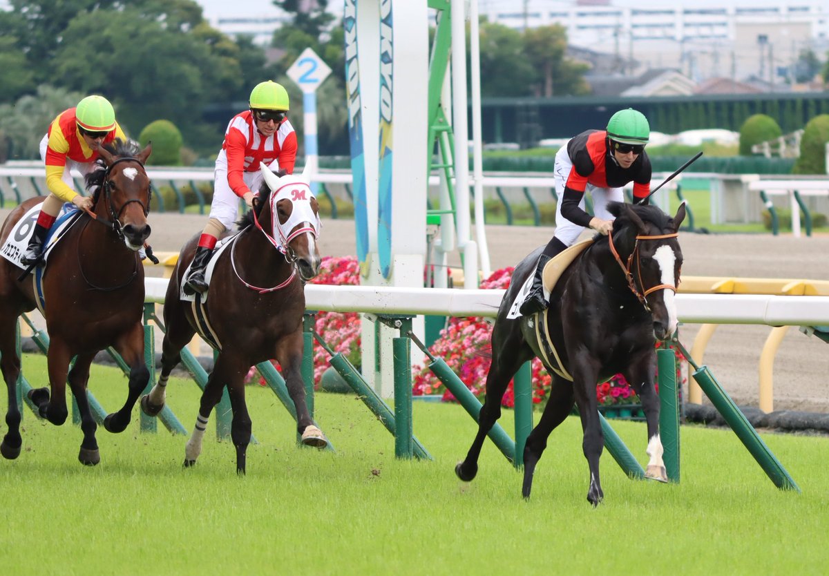 HiyoshiPocket's tweet photo. 2023年6月10日
#ゴンバデカーブース
#ダミアン・レーン
#G1レーシング
#メイクデビュー東京
#2歳新馬
#GonbadeQabus
#東京競馬場 https://t.co/eRyIfZmxDC