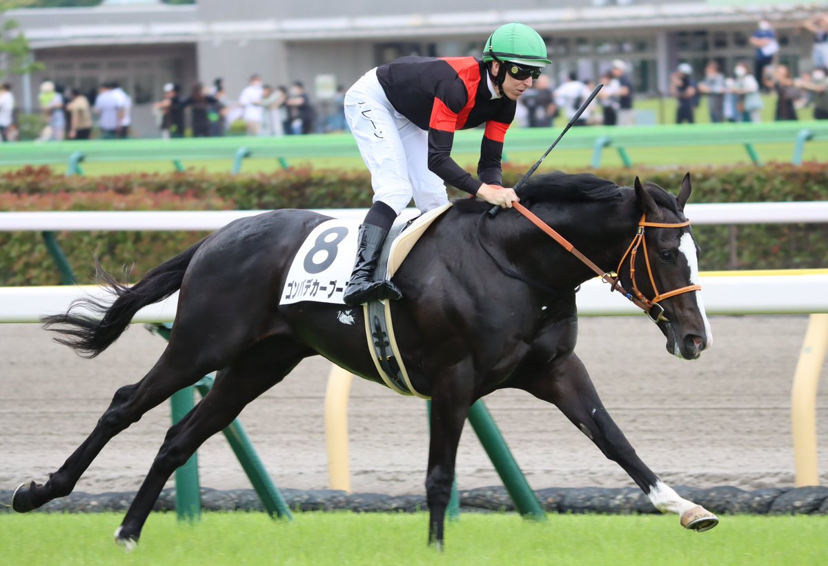 HiyoshiPocket's tweet photo. 2023年6月10日
#ゴンバデカーブース
#ダミアン・レーン
#G1レーシング
#メイクデビュー東京
#2歳新馬
#GonbadeQabus
#東京競馬場 https://t.co/eRyIfZmxDC