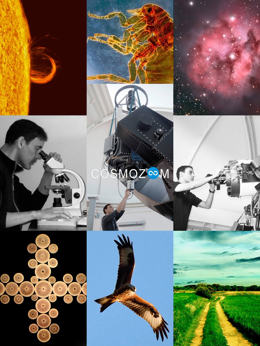 COSMOZOOM is a project for scientific, educational and artistic purposes ✨🔭-🦋📷-🦠🔬
An exciting journey from microbes to galaxy clusters!

#Astrophotography #photography #Microscopy