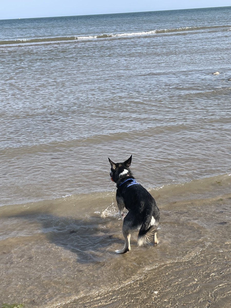 Paul Holroyd tweet media