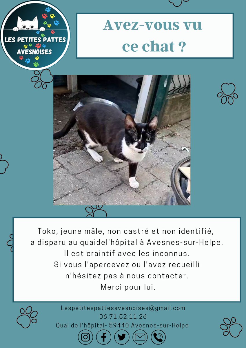 Merci d'ouvrir l'œil pour Toko #lespetitespattesavesnoises #avesnessurhelpe #association #adoption #chat #sos #famille #aulocalaujourdhui 
#avisderecherche #chatperdu #solidarité #coucoutata