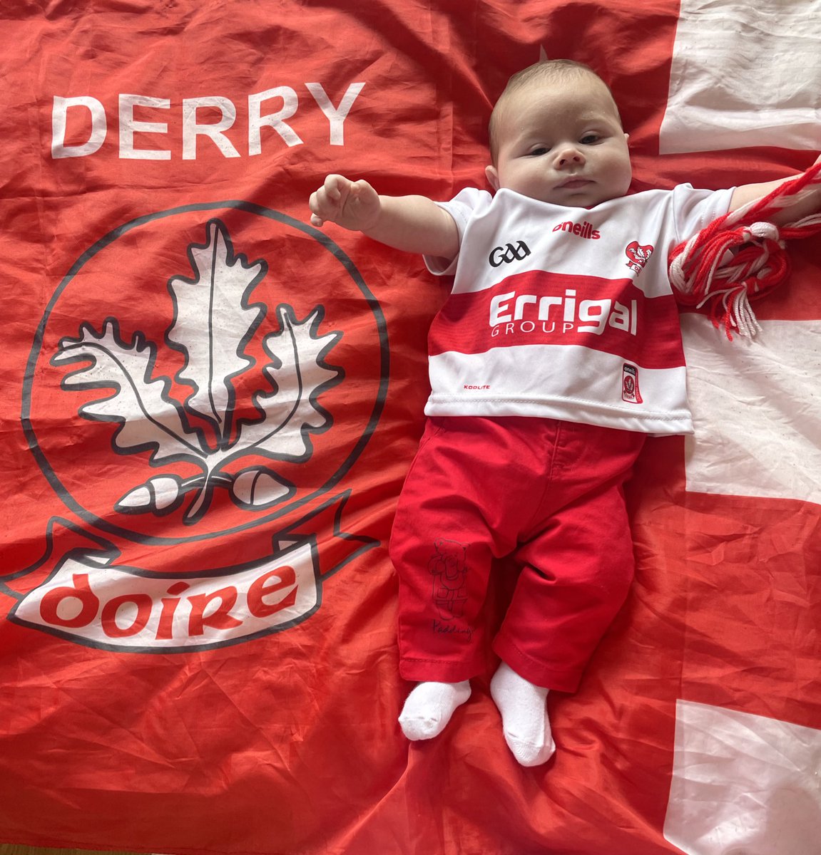 Mary C McGuckian tweet media