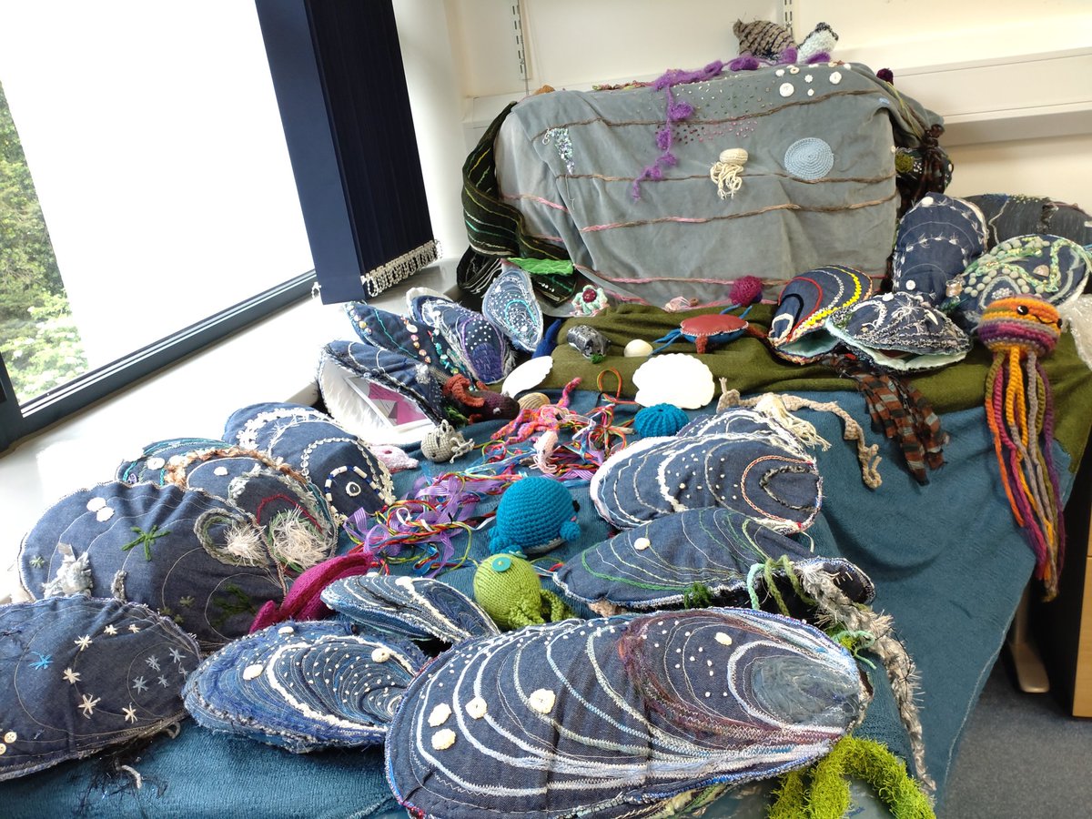 The growing My Blue Health Rockpool on display at our quarterly meeting yesterday. Thanks to all who joined the discussion in person and online. Lots of feedback to write up for the researchers!