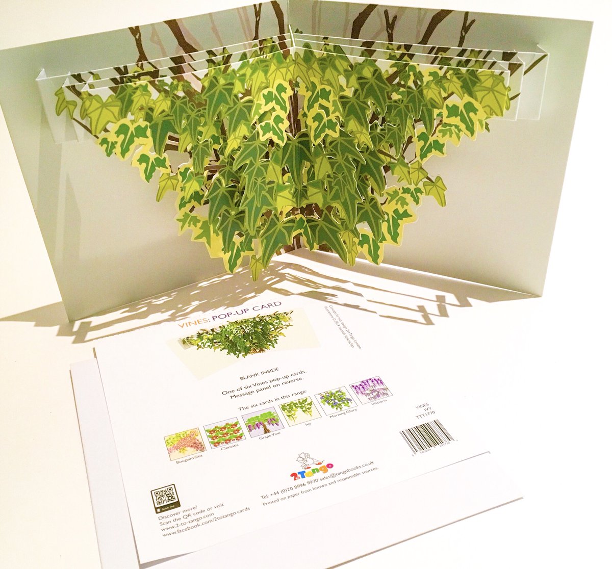 #ukgiftam @UKGiftHour @UKGiftHourPower a few more #vine themed #popupcards #greetingscards appropriate for this time of year that can be framed and kept #sustainability #gift 2-to-tango.com