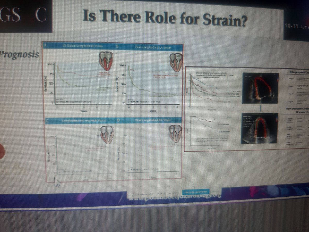 Continue with  the presentation on #RareCardiacDiseases and #HeartFailure from  @FGraziani_Grace @KemalogluOz @dr_maghraby #GSoCMEtaverse @GSoCers