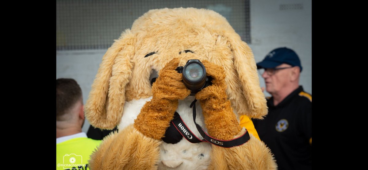 Join Spytty the Dog in the #KingswayCentre Club Shop today and sign up to our exciting packages for next season.