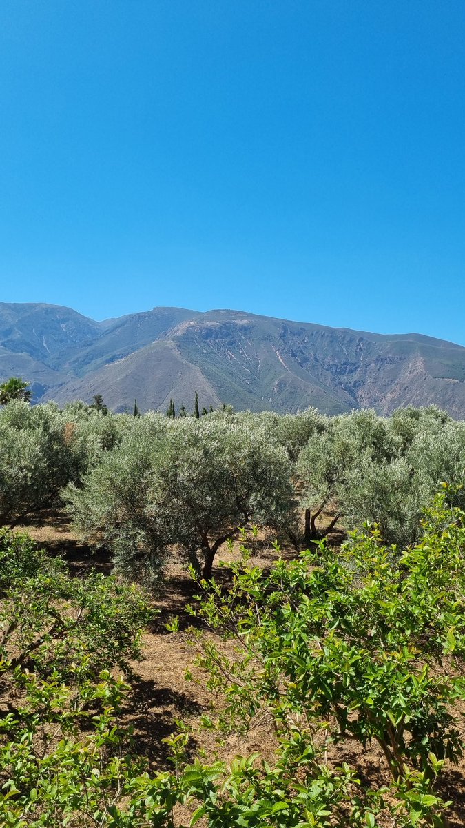 Mijn uitzicht deze ochtend. Thuis, tussen de bergen. #Alpujarra