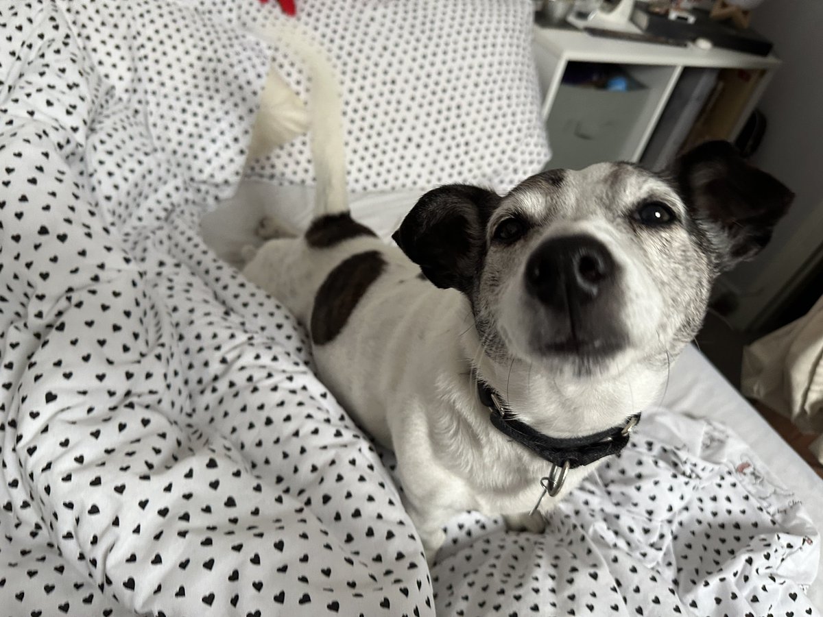 Good morning from Matisse