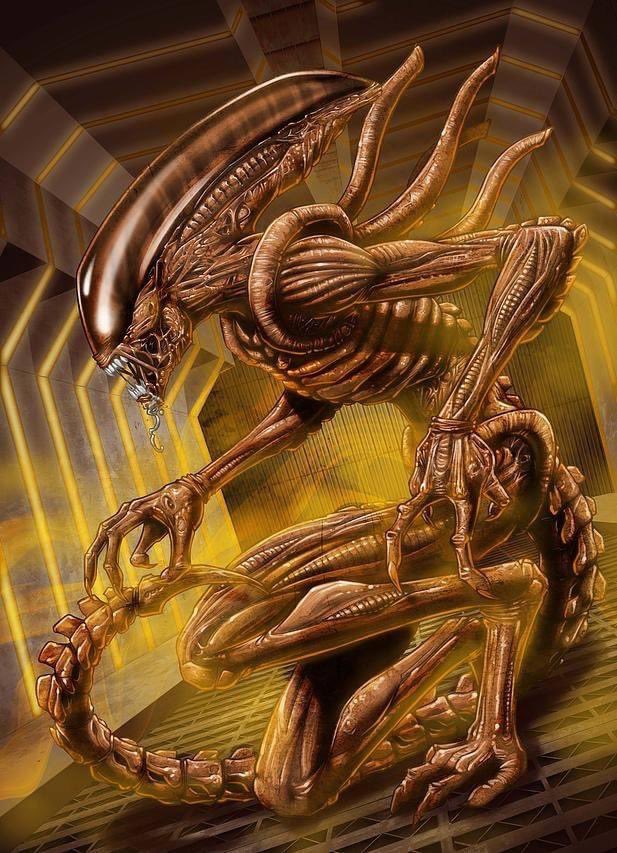 #Alien3 ❤️😍