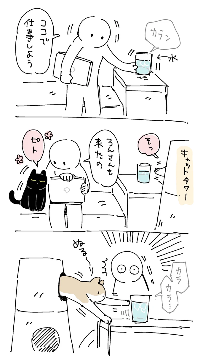 天才親切キャット「まめさん」！助けを呼んだら本当に来てくれた！！