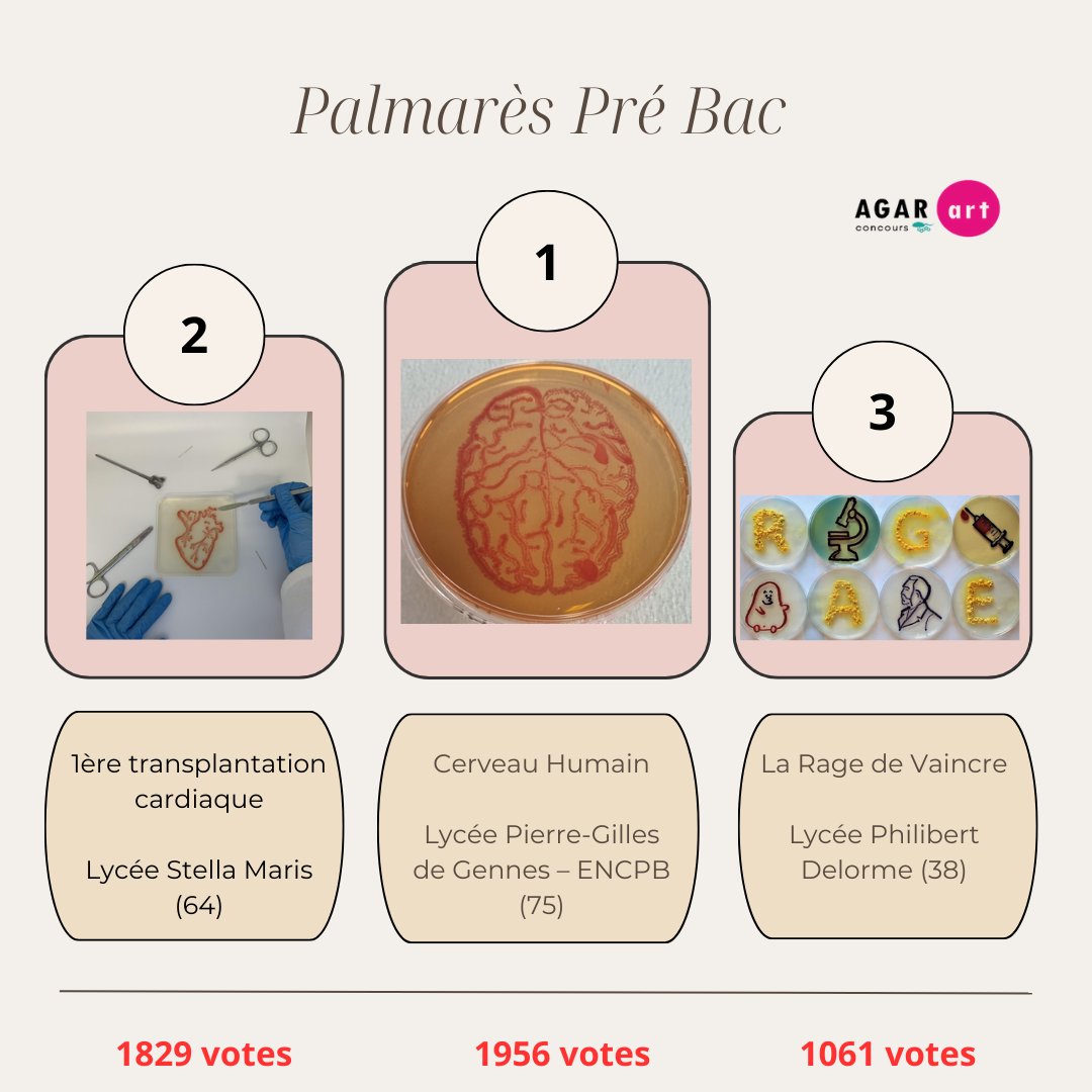 Les élèves de 1ere #STL a Biotechnologies ont remporté le concours Agar'Art 2023 !
​Bravo à eux ! 
Merci pour vos votes et votre soutien ! 
🙏🏾🙏 <a href="/ENCPB/">ENCPB Paris</a>
<a href="/macses2/">Nora Machure</a>
<a href="/MPeaudeau1/">Maxime PEAUDEAU</a>
<a href="/Academie_Paris/">Académie de Paris</a>