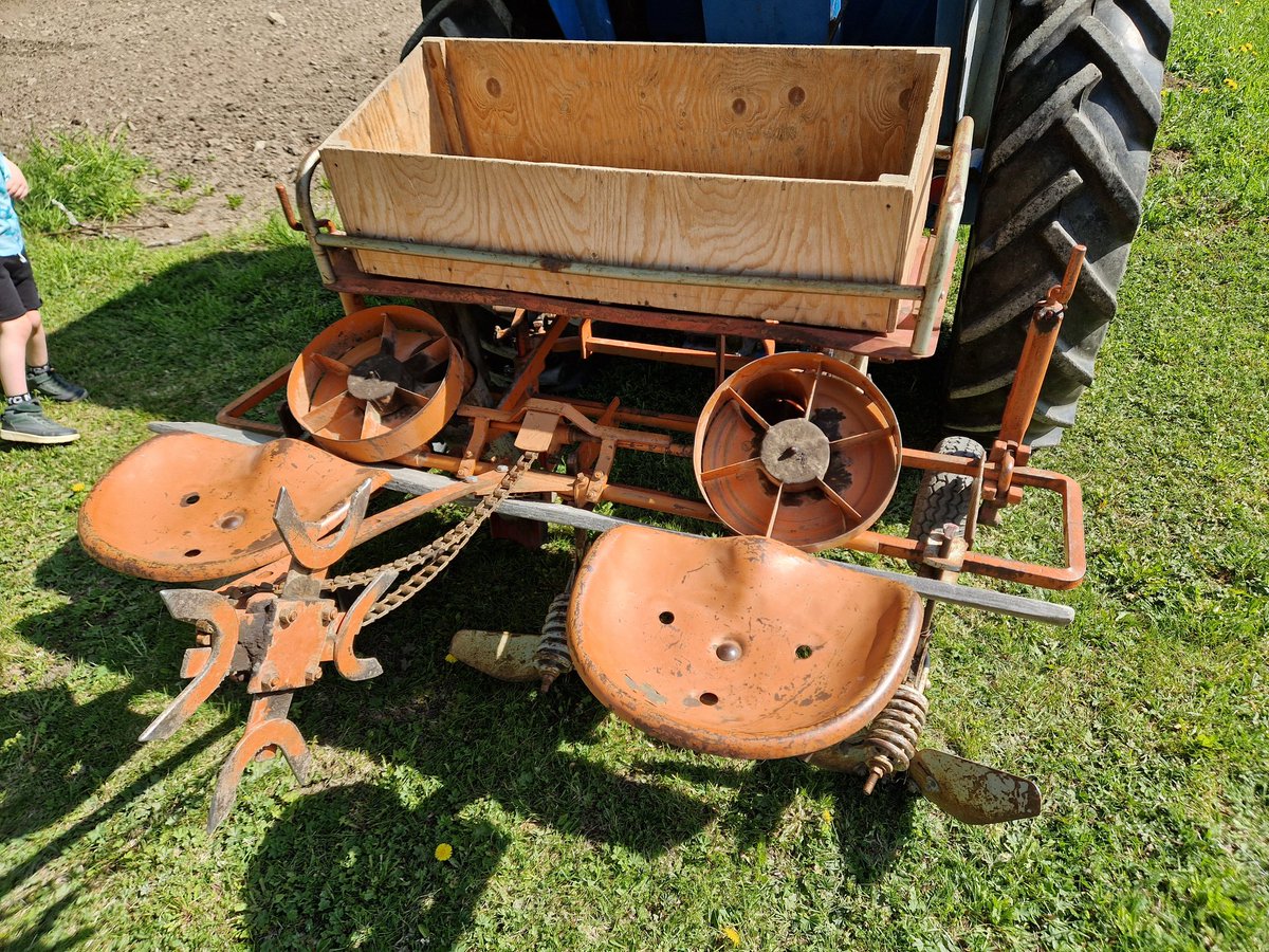 burny_burner's tweet image. Nu är det dags.. jag sätter några extra rader i preppersyfte
#päran #potatis #potatoes