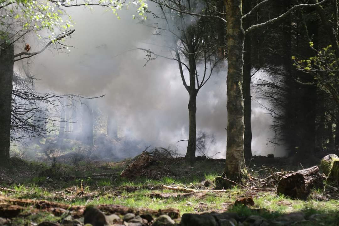 🇸🇪 🇬🇧 🇺🇦  Classes on conducting combat operations in a wooded area - military instructors of the Armed Forces of the Kingdom of Sweden Försvarsmakten as part of the multinational training operation 'INTERFLEX' on basic military training of personnel of the Armed Forces of Ukraine