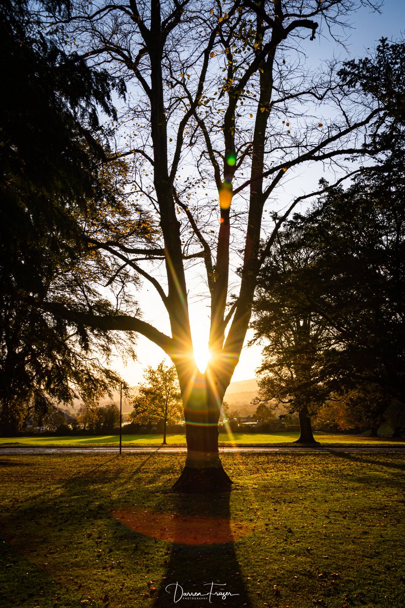 darrenfrazerpho's tweet image. Thank you to whoever bought 105 Greeting Cards with this photo!

If this was you then please get in contact with me.

📷 The #Crichton Gardens, #Dumfries