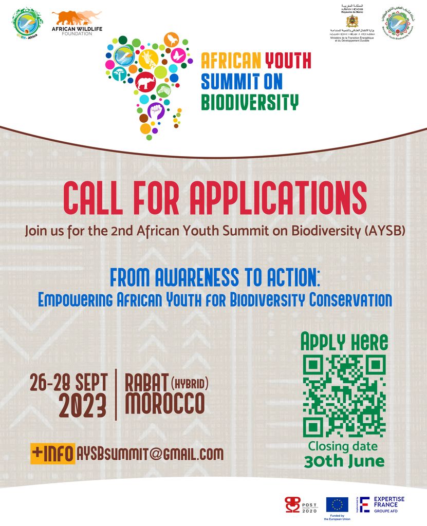 Now that the Kunming-Montreal GBF has been adopted, it's time to make it KNOWN, DOMESTICATED and IMPLEMENTED by everyone, including YOUth!
 <a href="/AWF_Official/">AWF</a> is proud join <a href="/GYBNAfrica/">GYBN Africa</a>, <a href="/4Post2020BD/">Post-2020 Biodiversity Framework . EU Support</a> and Government of Morocco to host the 2nd <a href="/aysbsummit/">African Youth Summit on Biodiversity</a>, to inspire action for the GBF.