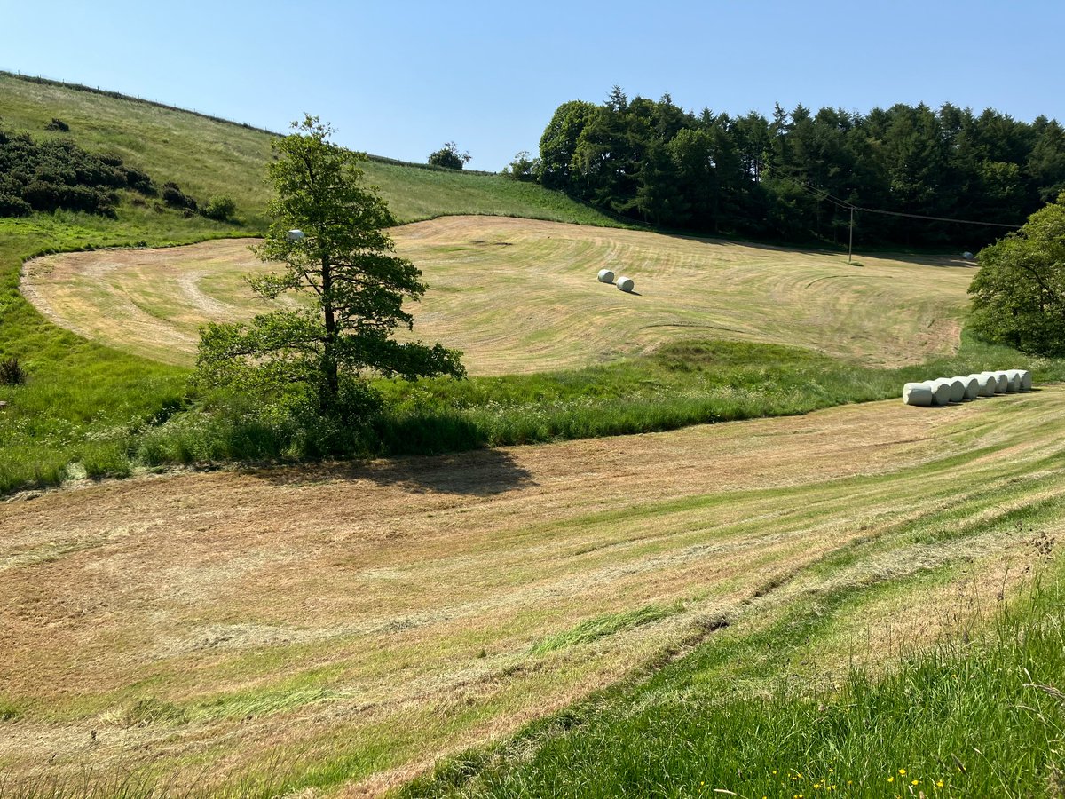 Phil Heron 🇬🇧 🇪🇺 tweet media