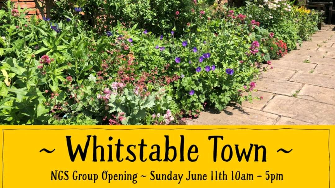 umbrellacentre's tweet photo. βοΈ NGS OPEN GARDEN IS TOMORROW βοΈ
We have a plant stall, pop up Gluten Free catering from @skepkitchen & nature inspired prints and cards from @rainbowraindrop_art
https://t.co/ziVCeO9gBw
#Whitstabletogether https://t.co/YX97eW0MFN