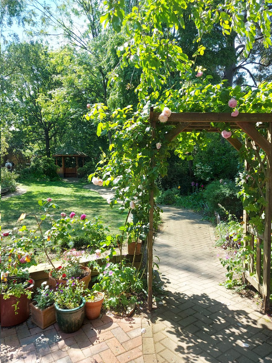 kszamu's tweet photo. Beautiful @Theoldengarden, with perfect shady woodland walks. My first stop for #log2023, London Open Gardens, on all this weekend. @LDNGardensTrust https://t.co/caIoNHISjS